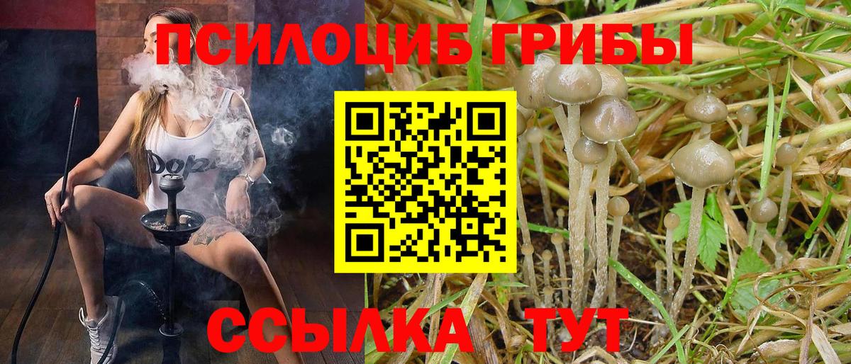 Галлюциногенные грибы прущие грибы  Вход с VPN  Северодвинск  Псилоцибиновые грибы мицелий 